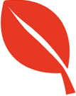 Winkwaves Logo